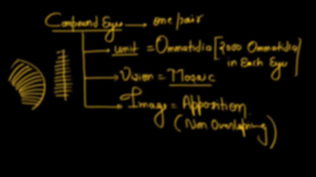 pfa