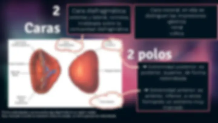 pf5
