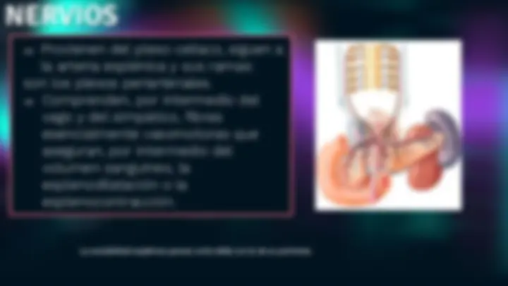 pf14
