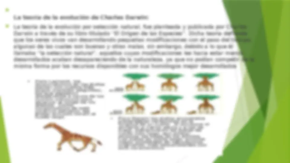 pf3