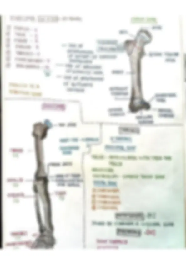 pf5