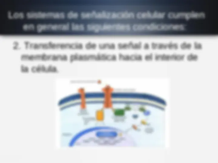 pf5