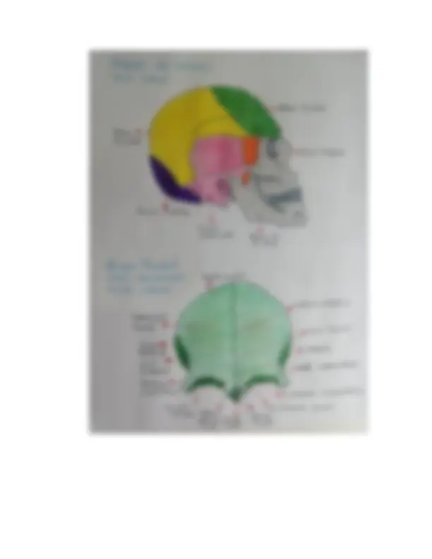 pf3