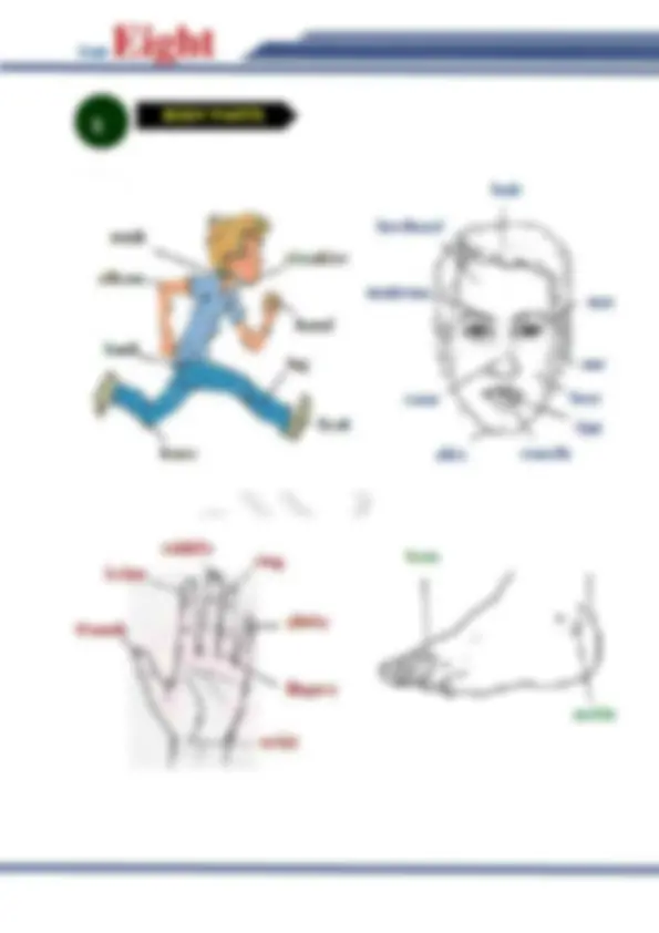 pf1c