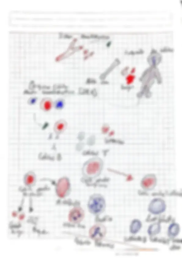 pf3