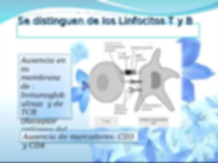 pf8