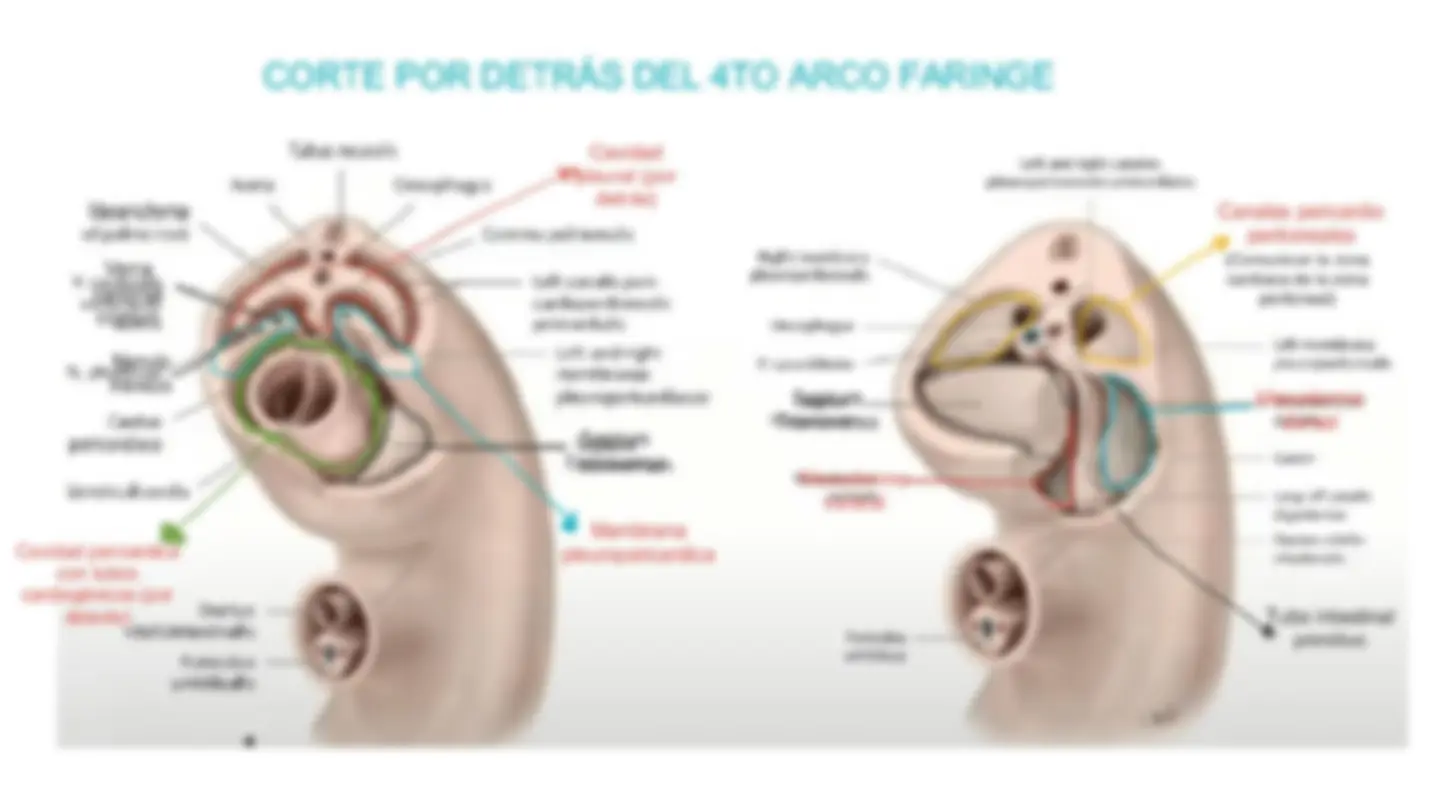 pfa