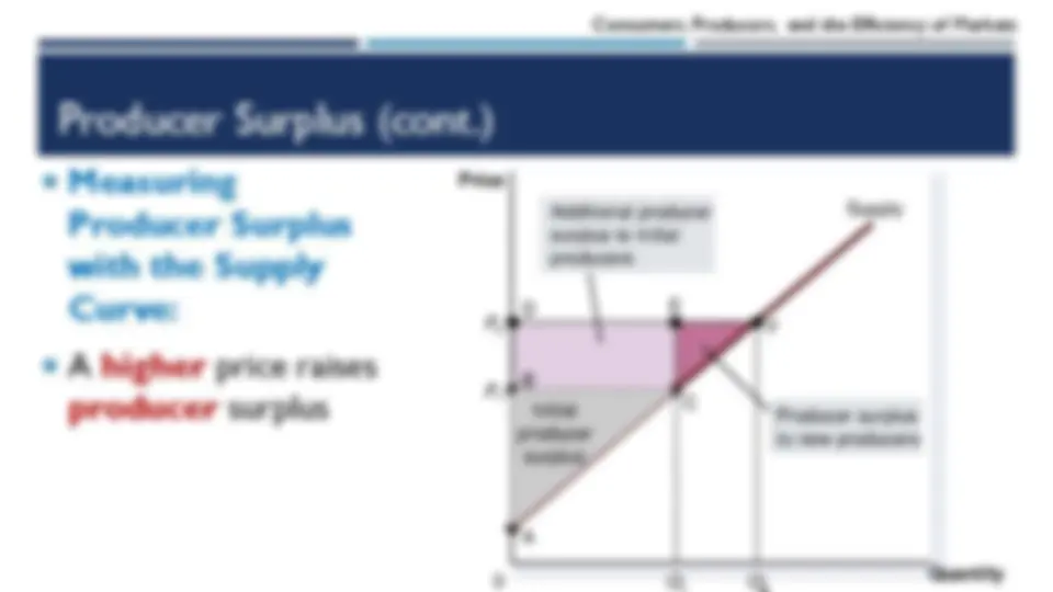 Principles of Economics chapter 4 | Lecture notes Microeconomics | Docsity