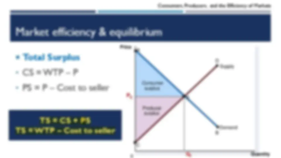 Principles of Economics chapter 4 | Lecture notes Microeconomics | Docsity