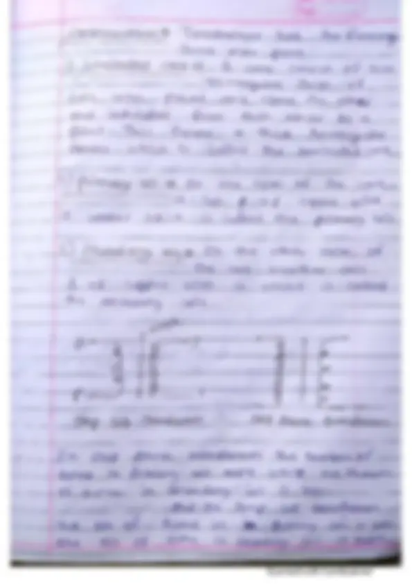 pf21