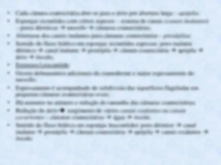 pf13