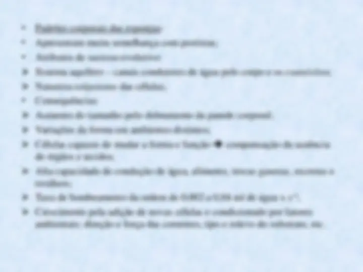 pfe