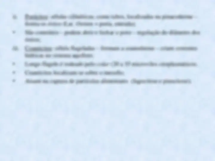 pf1b