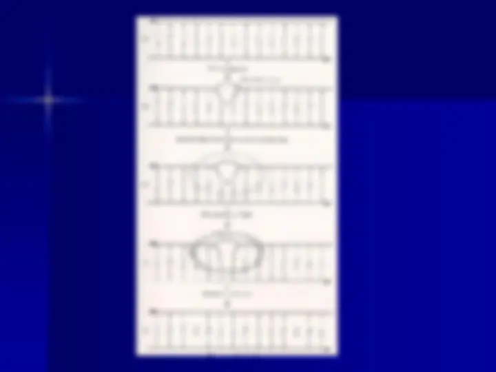 pf44