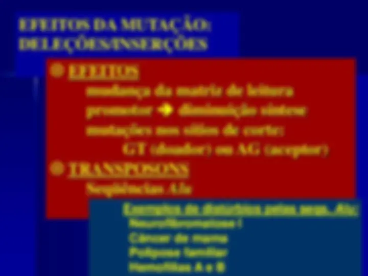 pf26