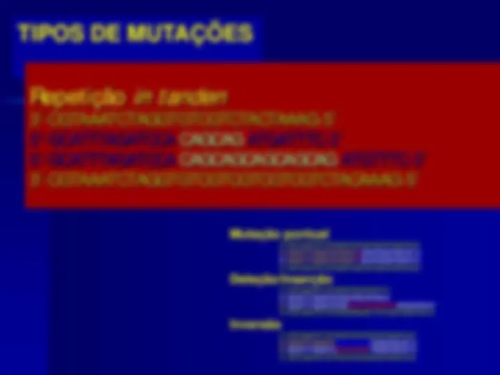 pf24