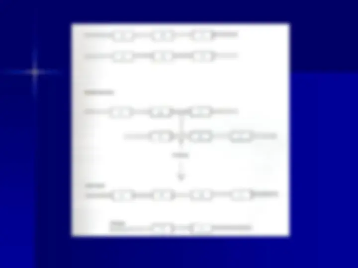 pf33
