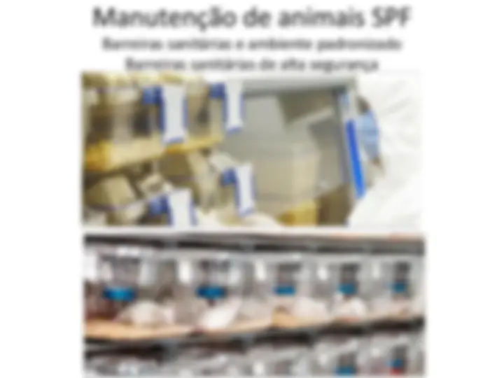 pfe