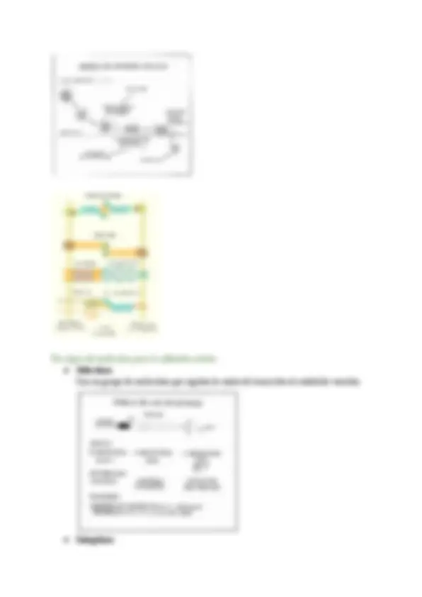 pf9