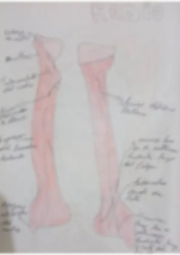 pf27