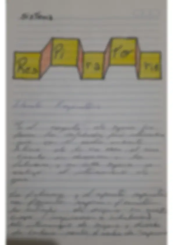 pf19