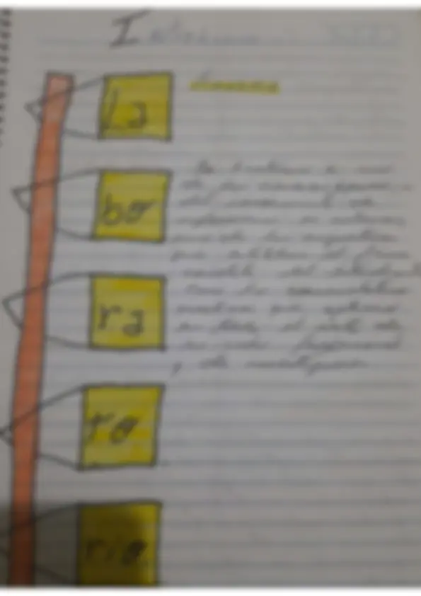 pf26