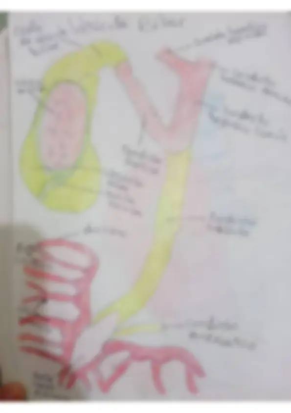 pf4a