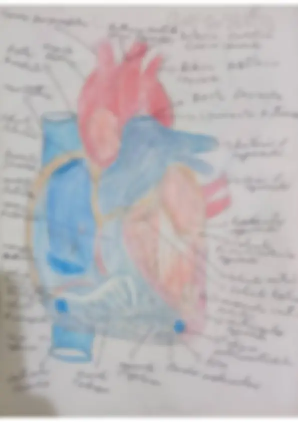 pf34