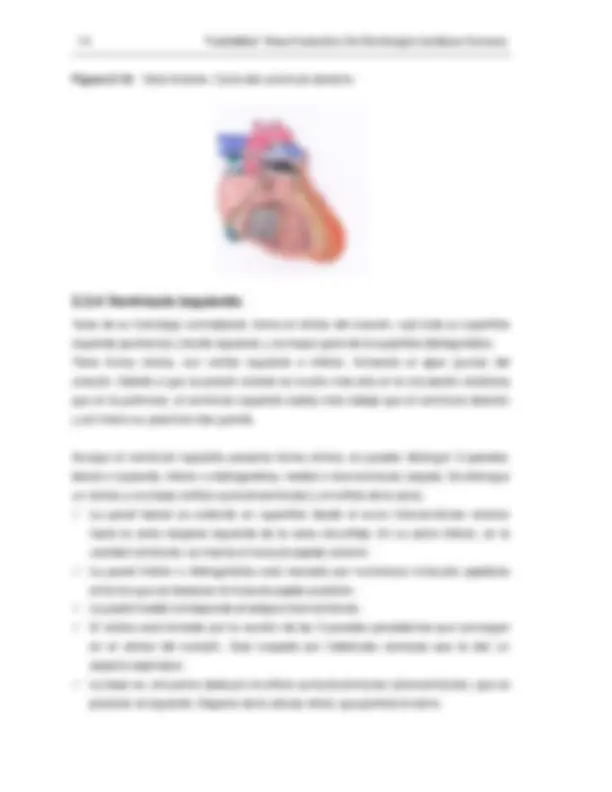 pf1b