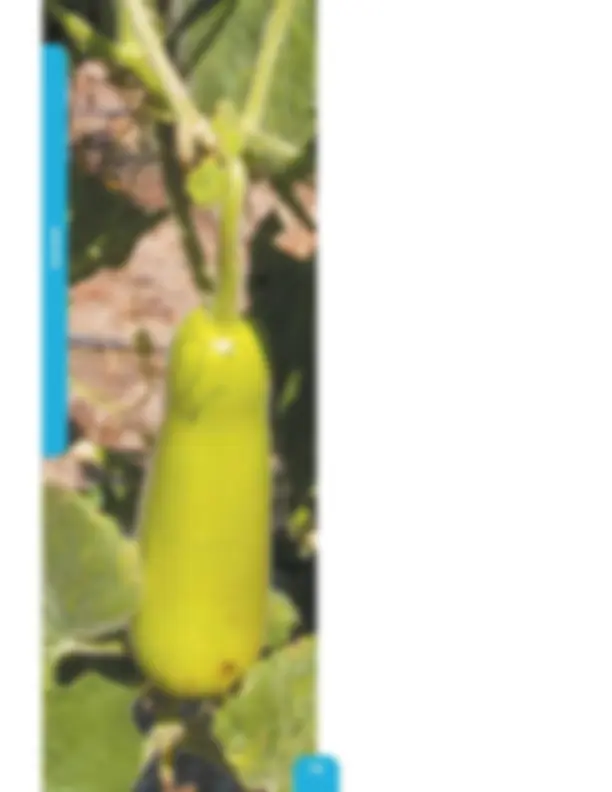 pf4f