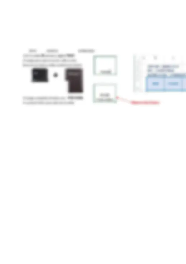 pf29