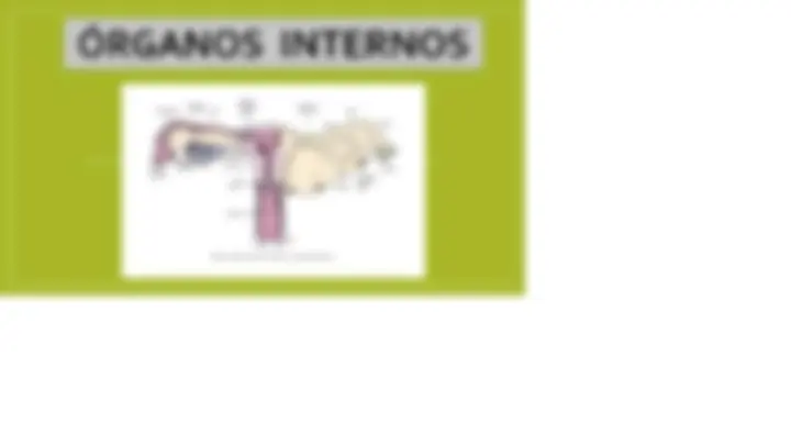 pf5