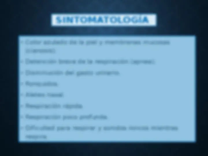 pf13