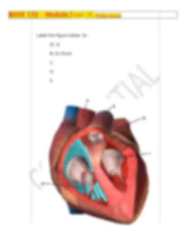 pf4