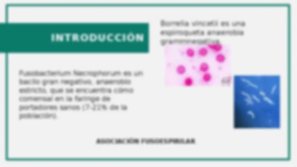 pf13