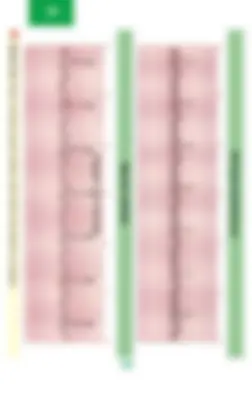 pf54