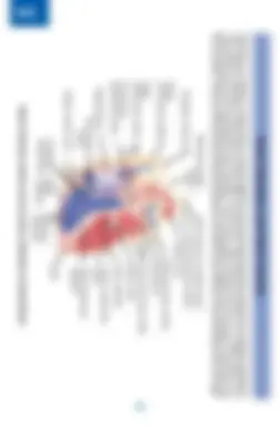 pfa