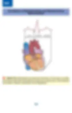 pf14