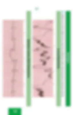 pf53