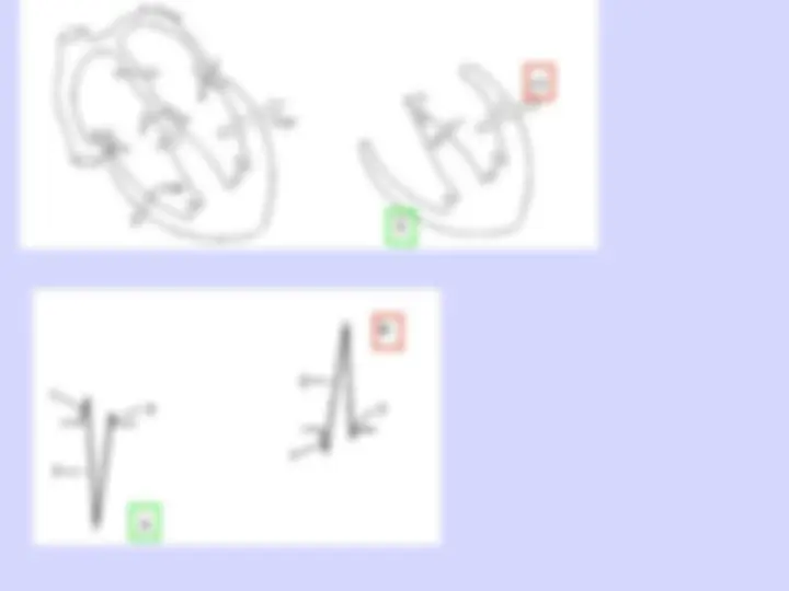 pf23