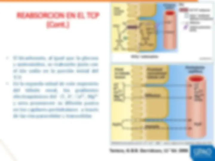 pf12