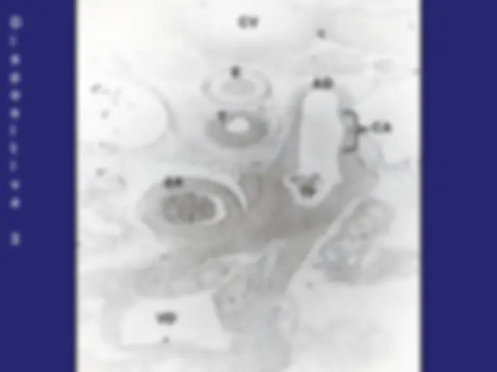 pf4