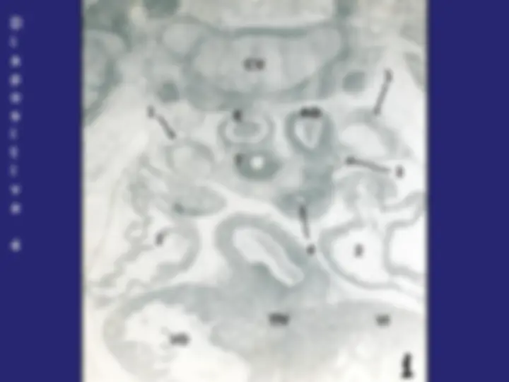 pf5