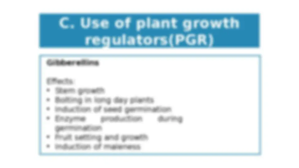pf1b