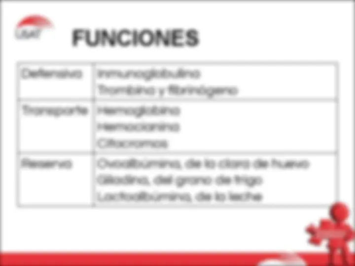 pf13