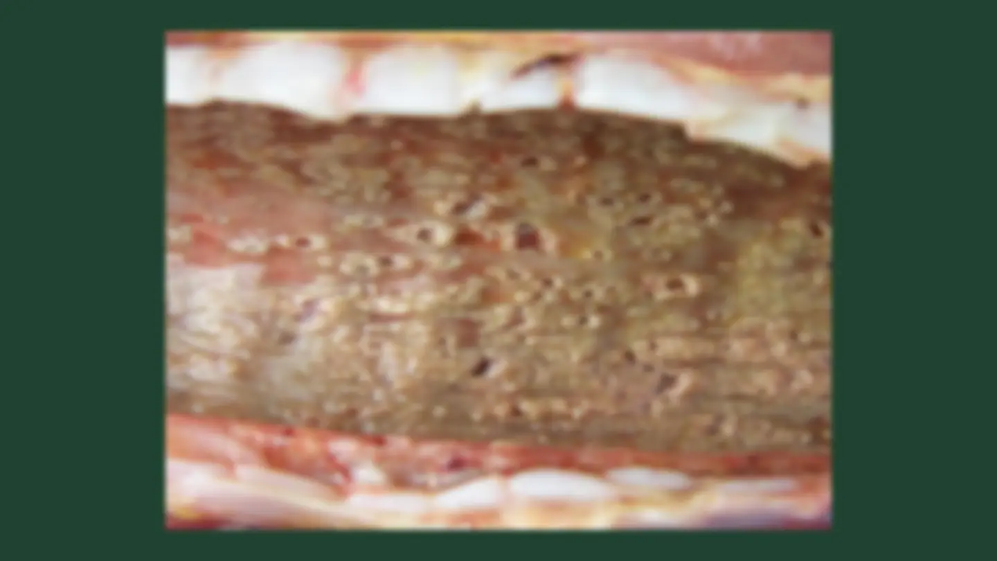 pf23