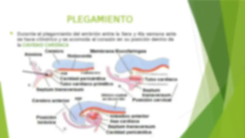 pf5
