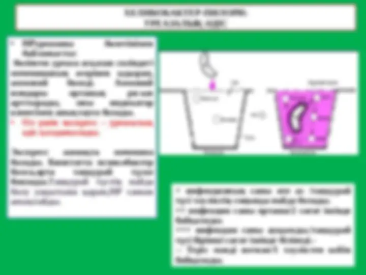 Бүгін Севастопольдегі секс Египет порно фильм секс