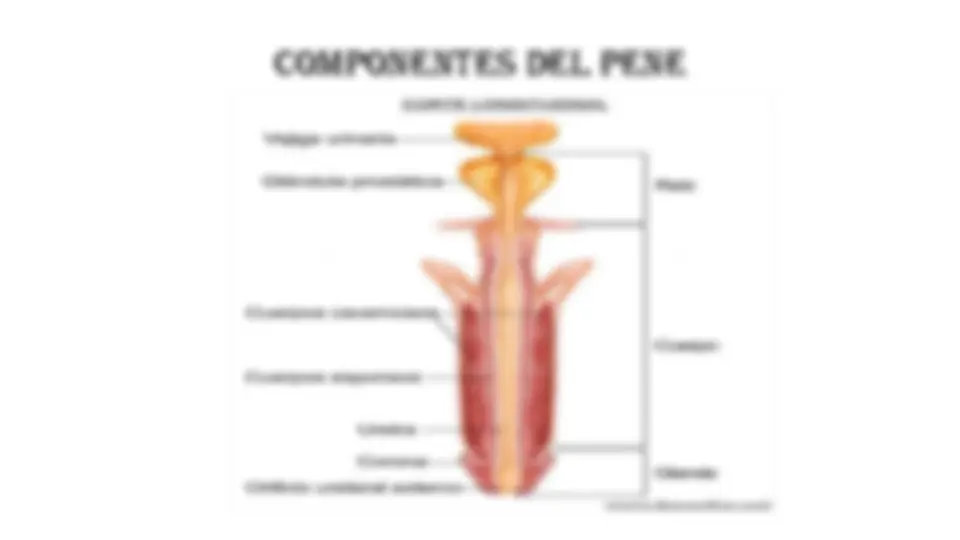 pf5