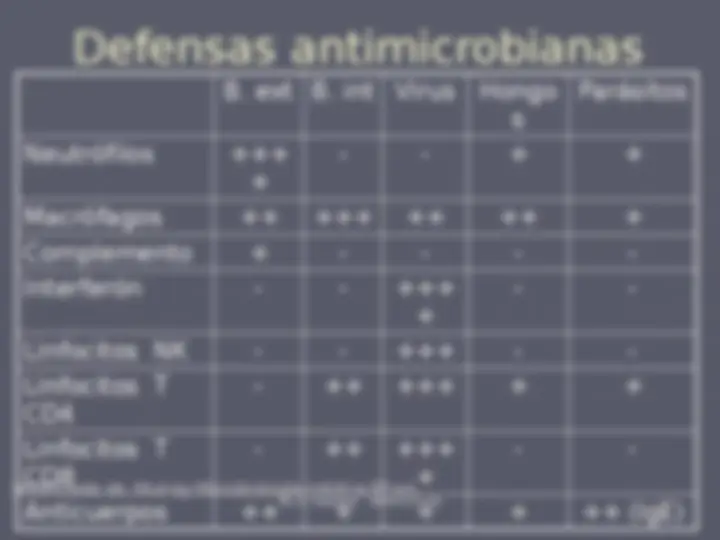 pf20